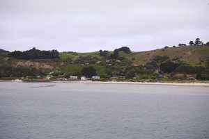 HARINGTON-POINT-DUNEDIN (21)